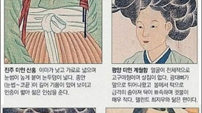 조선시대 미인의 조건, "지역마다 다르네"