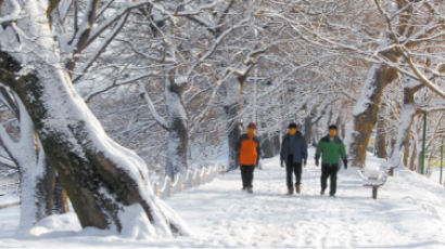 오늘부터 강추위… 새해 첫날 서울에 눈