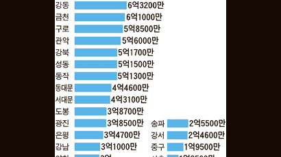 지난해 서울 25개 구청 사업 능력 성적표는