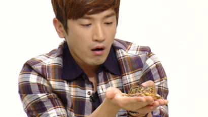 JTBC 녹화장에 초대형 뱀이…계사년 맞이 '뱀소동'