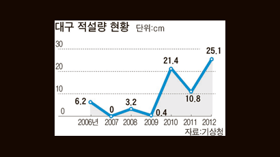 폭설 안전지대 아니다 … 대구, 제설대책 다시 짠다