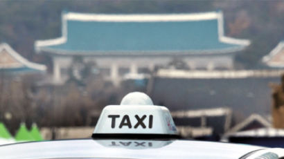 택시업계 “내달 20일까지 재의결 안 하면 운행 중단”