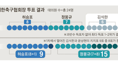 [52대 축구협회장 선거] 대의원들만의 잔치 … 아쉬움 남겨