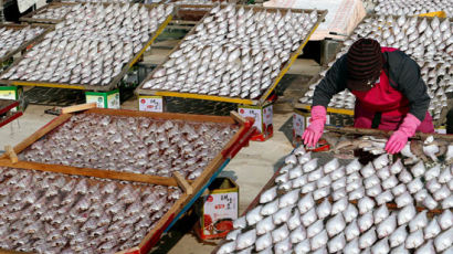 [사진] 설 앞두고 제수용품 생선 말리기 
