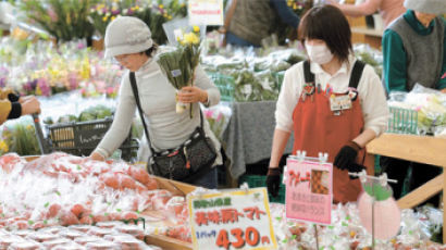 농민이 농사지으며 도매법인과 계약 일본은 선물 거래로 가격 변동 줄여