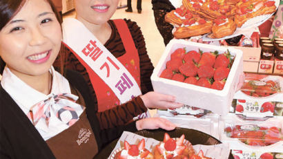 [사진] 제철 딸기를 20% 싸게