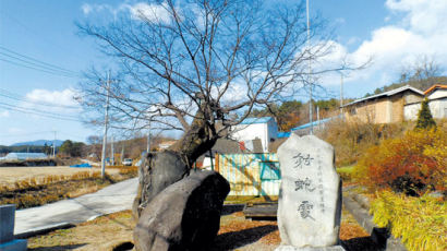 백순화 교수와 떠나는 천안이야기 여행 ⑧