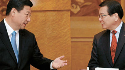 [사진] 박삼구 금호아시아나 회장, 시진핑 주석과 면담