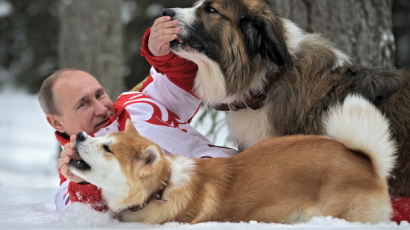 [사진] 애견과 함께 눈 위에서 뒹구는 러시아 푸틴 대통령
