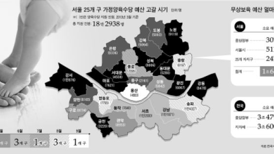 서울 6월 보육대란 오나 … 20개 구 양육수당 바닥