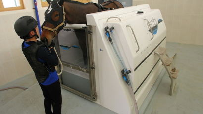 [사진] 경주마 전담치료하는 '말 재활센터' 개장