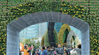 [사진] 1억 송이 꽃대궐