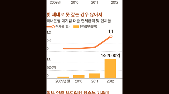 한은 "대기업 대출 22%가 잠재위험 상태"