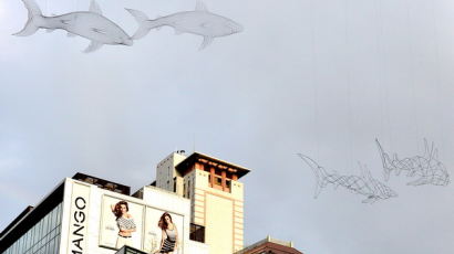 [사진] 하늘을 나는 상어