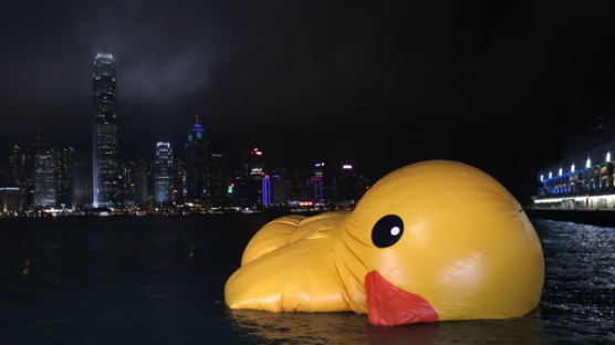 [사진] 바람빠진 홍콩의 '러버덕'