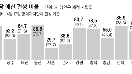 재정자립도 1위 서울, 양육수당 예산 편성률은 꼴찌