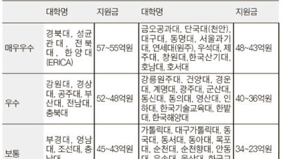 [LINC평가 발표] 한양대·동명대· 한국산기대 등 '매우우수'