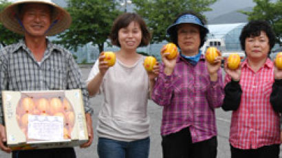 [브리핑] 칠곡 농가, 서울 복지시설에 참외 130상자 기증