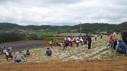 한국폴리텍대학 목포“1校 1村 자매결연”농촌일손돕기