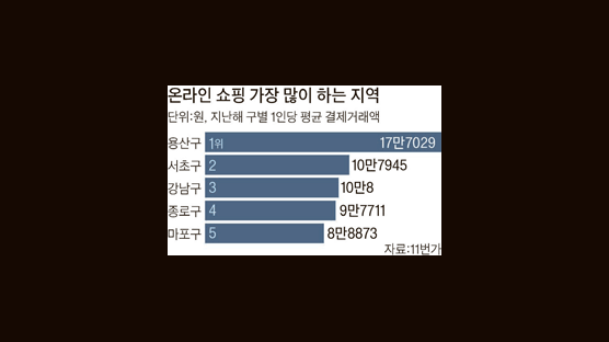 온라인 쇼핑몰 큰손은 용산구민