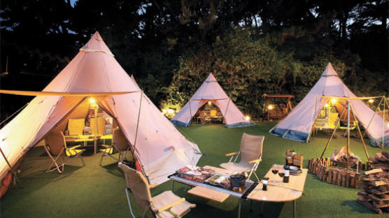 호텔·식당, 텐트·바비큐 서비스 … 도심서 캠핑 즐기세요