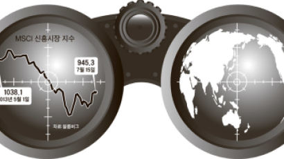 신흥시장 '바겐 헌터'로 나선 글로벌 큰손들