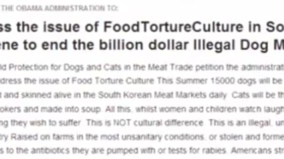 "한국 개고기 문화 중단시켜달라" 백악관에 황당 청원 올라와
