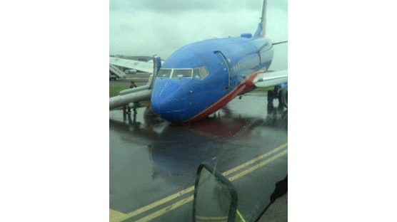 뉴욕 여객기 동체착륙 8명 부상…美 라과디아 공항 폐쇄