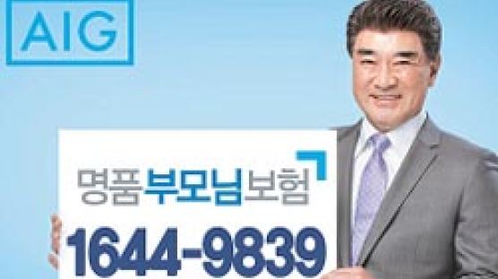 AIG '명품부모님보험' 큰 호응