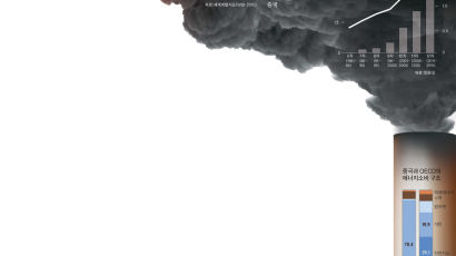 오염 먹구름에 숨막힌 대륙 '세계의 굴뚝' 대청소 나섰다