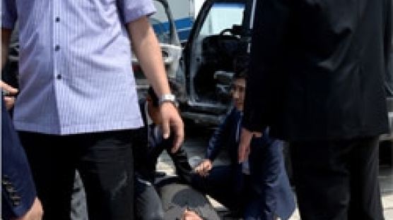 60대男 "뉴질랜드 총리, 한국인 4명 죽여" 승용차로 돌진