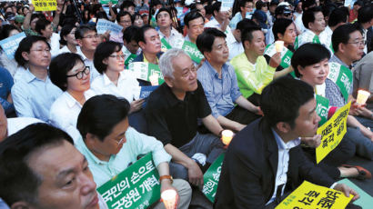 민주당, 첫 대규모 대중집회