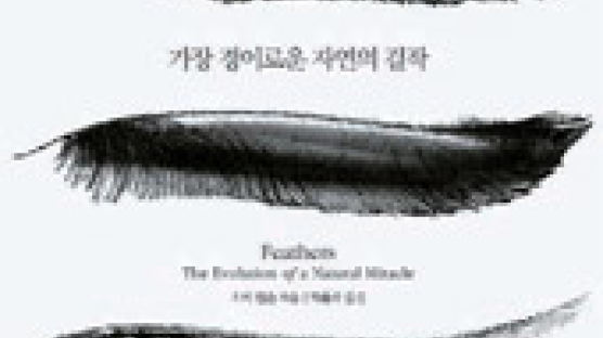 [책과 지식] 위장·과시·보온 … 깃털의 매혹적 진화