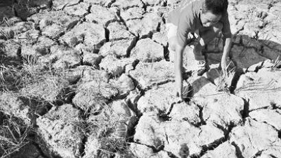 中남부지방, 강수량 55.4% 감소…1951년 이후 최저치 기록