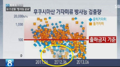SBS 뉴스 방송사고 "담당자 실수로 '일베'가 만든 합성 사진이…"