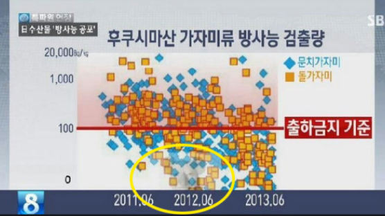 SBS 뉴스 방송사고 "담당자 실수로 '일베'가 만든 합성 사진이…"