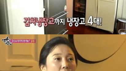 홍진경 집 공개, 주방에 냉장고 4대가…"김치 CEO 답네"