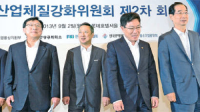 "10대그룹, 창조경제 37조 투자 … 규제 완급 조절을"