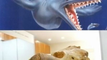 네발 고래 화석 발견, 고래가 육지에 살었던 증거인가?