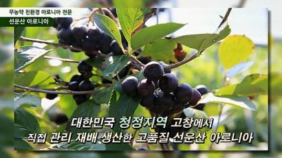 [영상뉴스] 2013 생생현장인터뷰- 청정 고창, 항산화열매 “선운산 아로니아” 