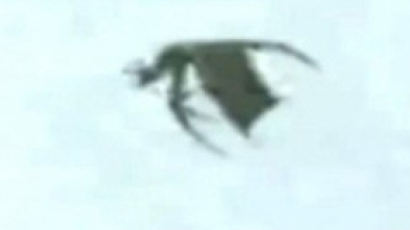 칠레 괴생명체 포착, 날개 달린 모스맨?…괴상한 형체 보니