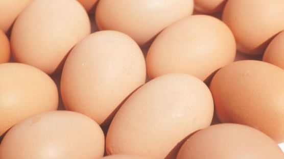 임산부의 날, 엽산과 칼슘 다량 함유한 ‘계란’ 추천