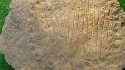 가장 오래된 해시계 발견, 타원형 돌에 수십 개 선이 새겨져 있어