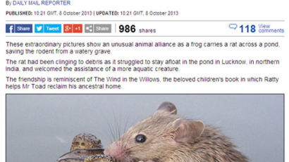 두꺼비 등에 올라탄 생쥐, "두꺼비 꼭 쥐고 있는 손이…" 귀여운 연못 커플