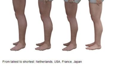 세계 중년 남성 체형 비교 "가장 작은 일본 남성, 그래도 가장 건강해"