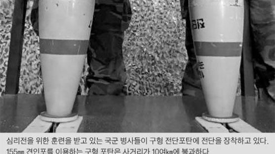 전단 넣어 쏘는 포탄 2017년 실전배치