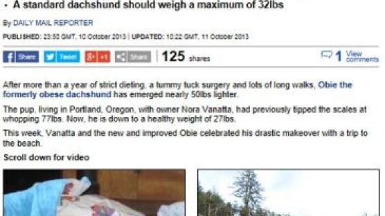 23kg 감량한 닥스훈트, "35㎏에서 12㎏로… 다이어트 비법은?"