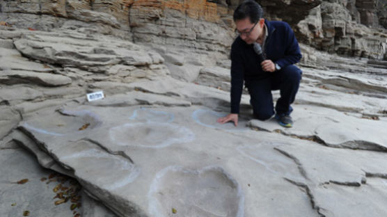 반구대 암각화 일대는 공룡 놀이터 … 1억년 전 발자국 화석 무더기 발견