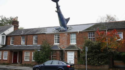 [사진] 영국 주택 지붕에 박힌 상어