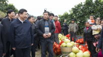 [사진] 중국 시진핑 주석 후난성 시찰